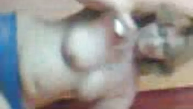 メロンは彼らの猫が大好きです！ 女 専用 アダルト 動画