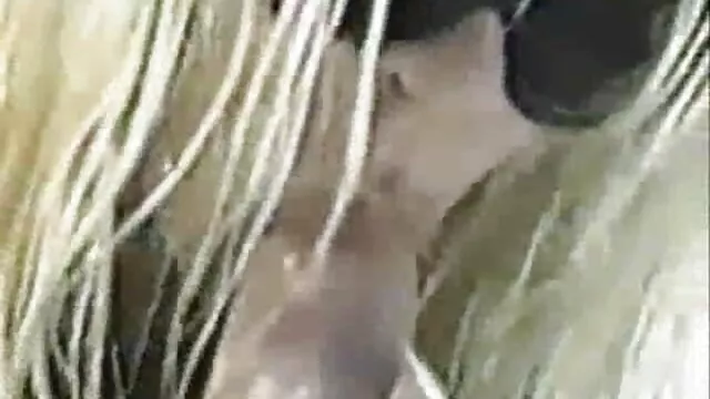 サンディRは彼女の幸運な家庭教師を性交します。 女 エロ 無料 動画